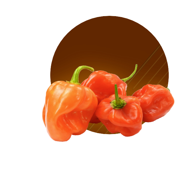 habaneroCIRCULO