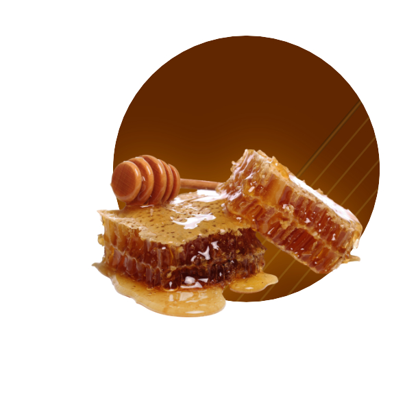 mielCIRCULO