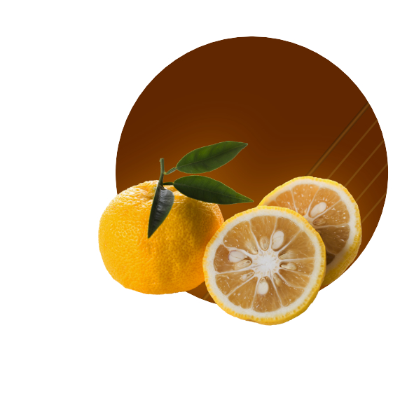 yuzuCIRCULO