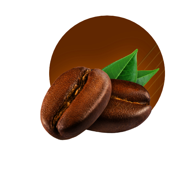 cafeCIRCULO