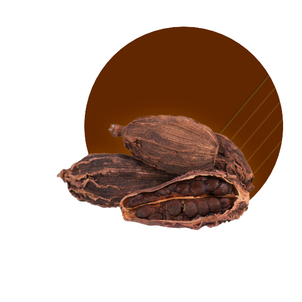 cardamomoCIRCULO